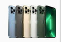 iPhone 13 Pro Max 256GB